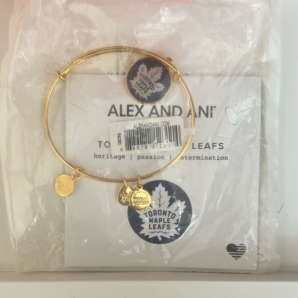 Alex and Ani Glossy Gold Bracelet